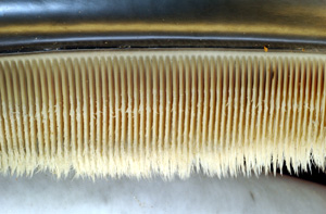 Baleen artefact